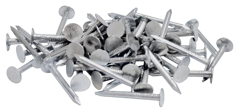 celebrationhardware3600383