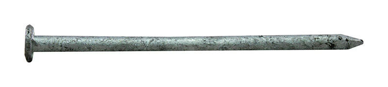 celebrationhardware3905257