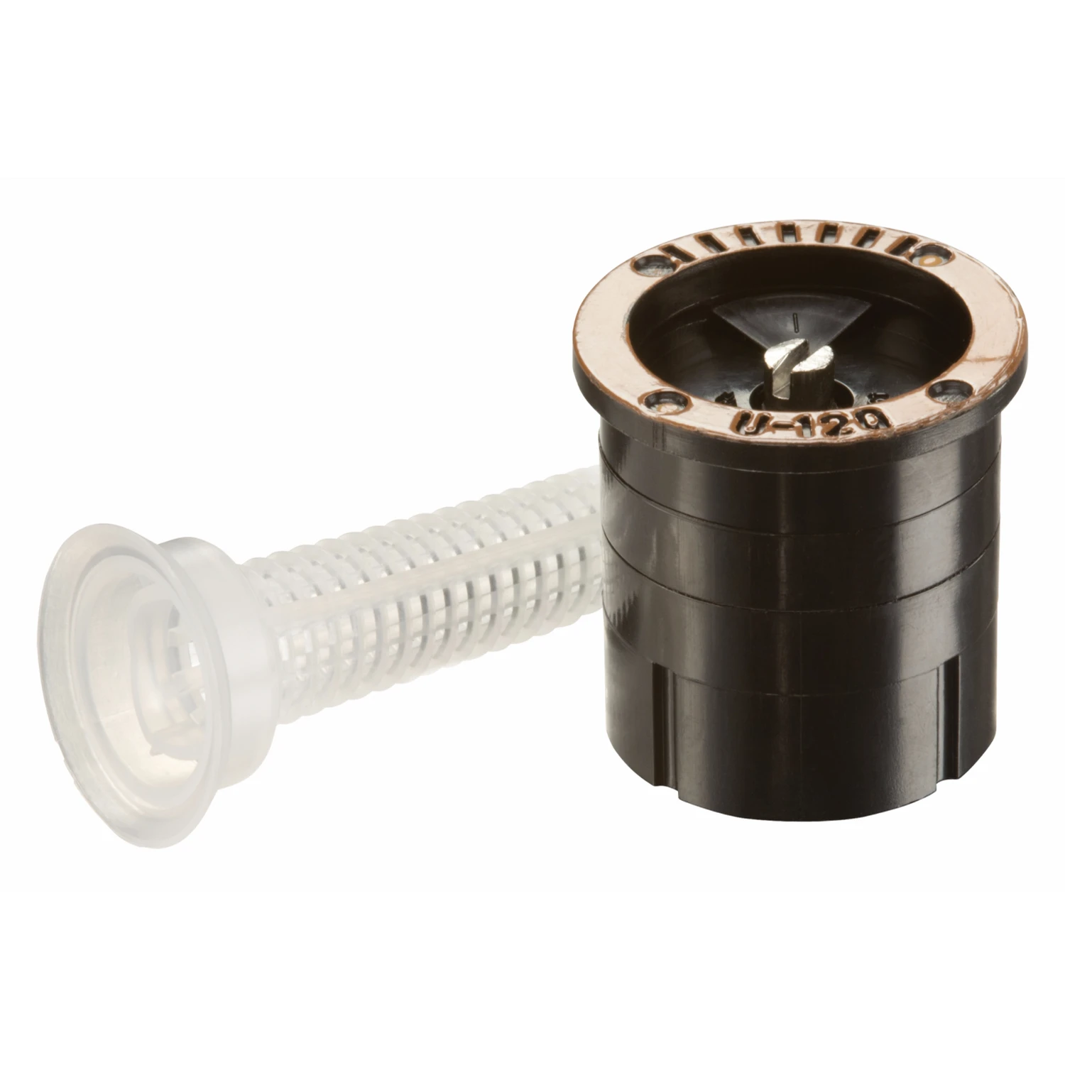 celebrationhardware3936673