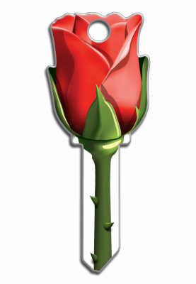 celebrationhardware4818553
