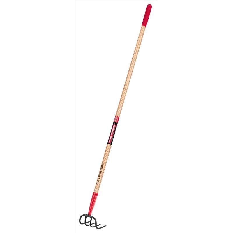 celebrationhardware4909752