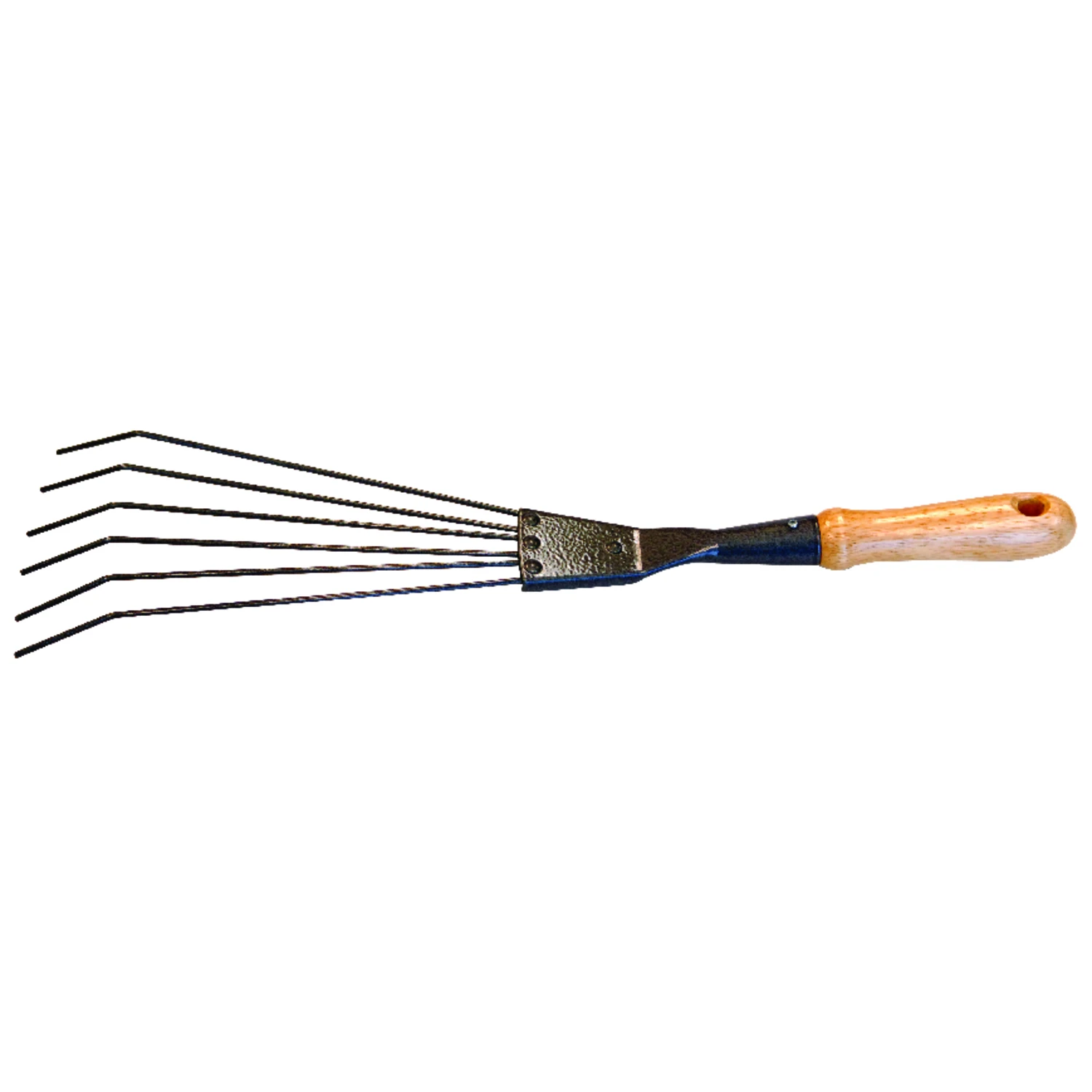celebrationhardware4922490