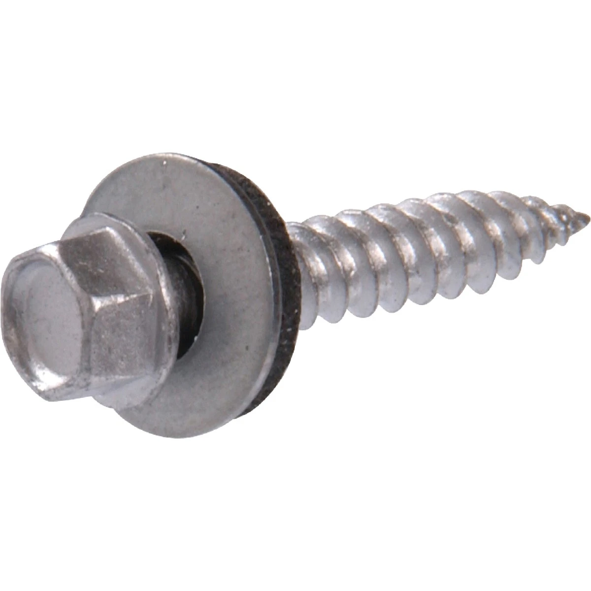 celebrationhardware4961464