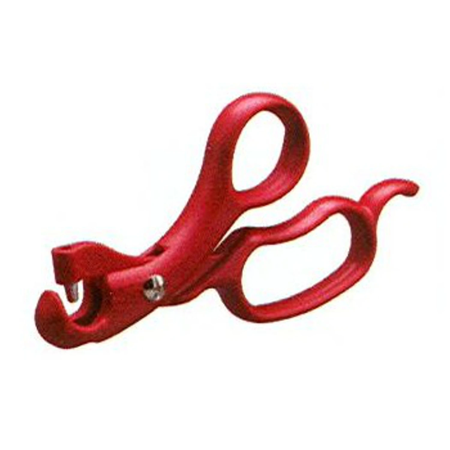 celebrationhardware4971301