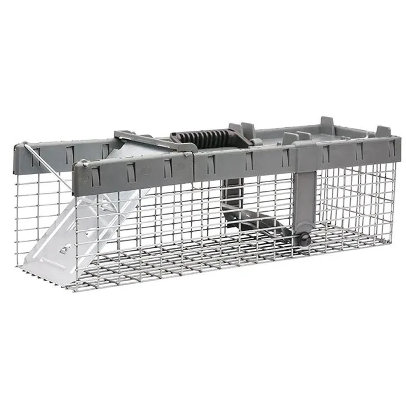 celebrationhardware5403261