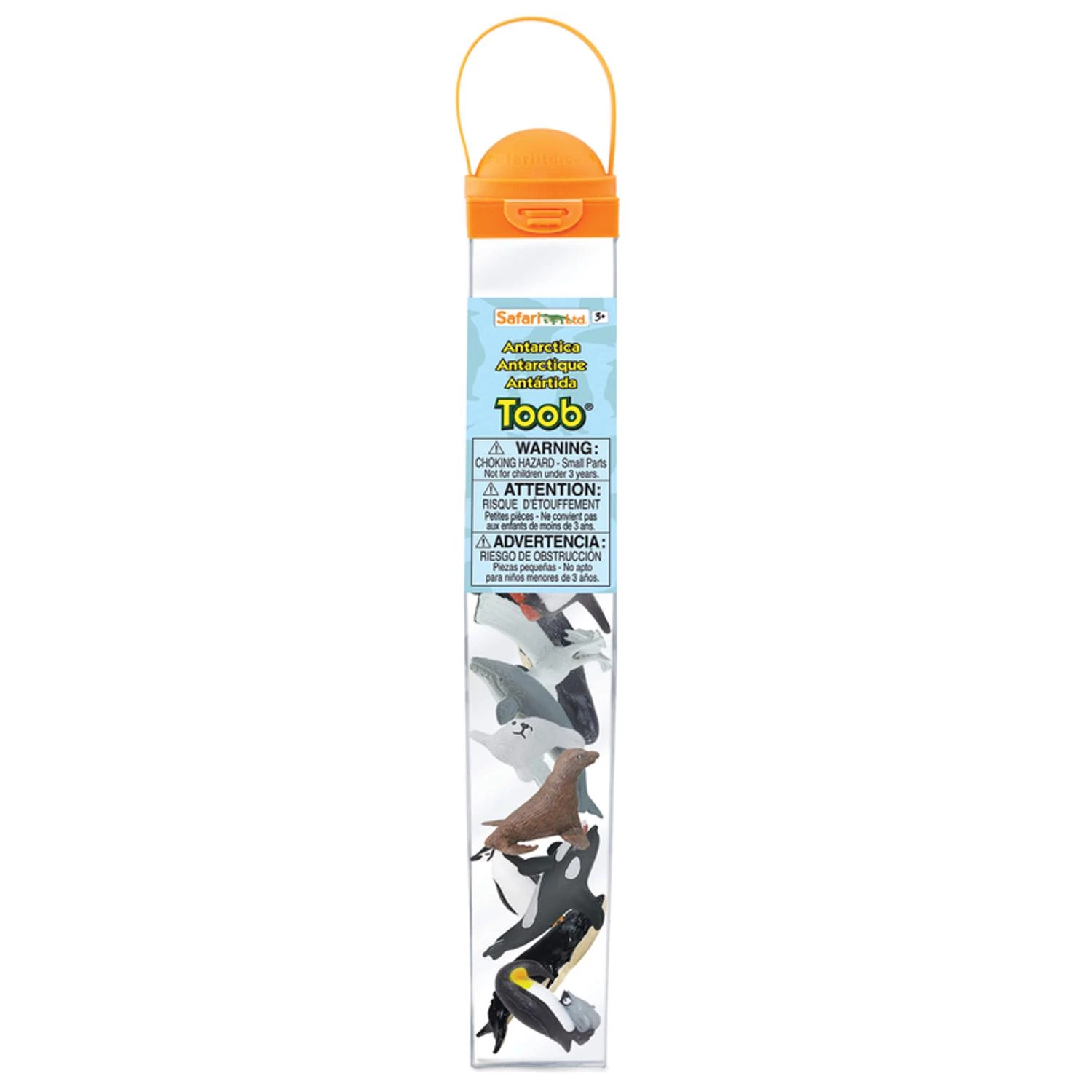 celebrationhardware5415052