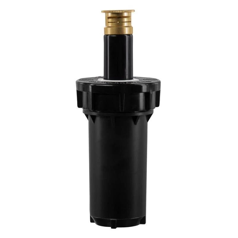 celebrationhardware5510650