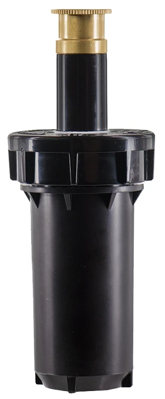 celebrationhardware5522560