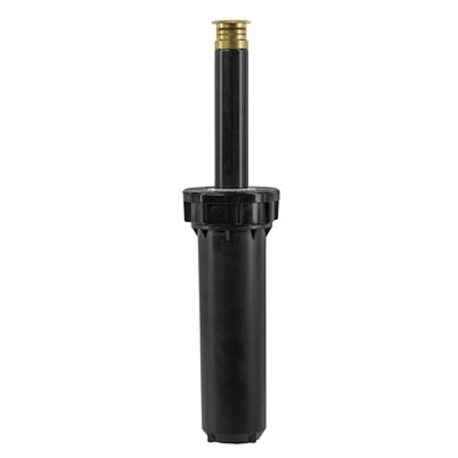 celebrationhardware5522563
