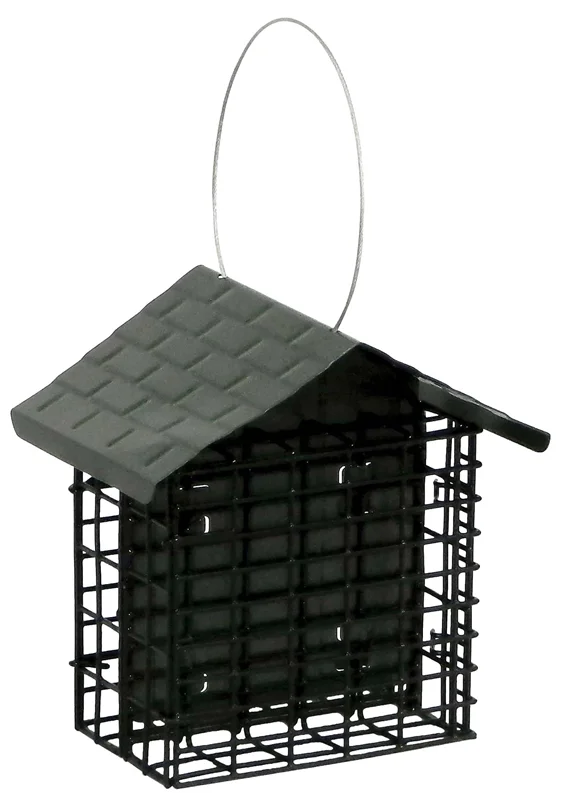 store.cookstreetcastle3818588